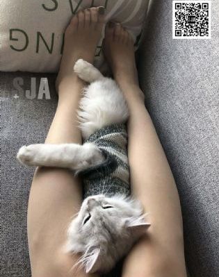 日韩性生活网_电影无删减版