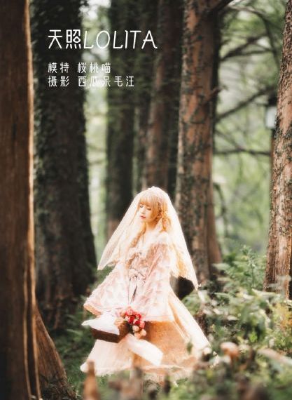 亚洲性爱在线视频_完整版在线观看